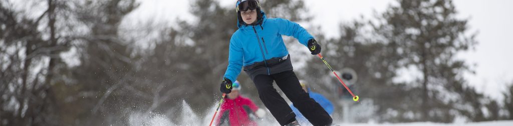 Hero Skier22c